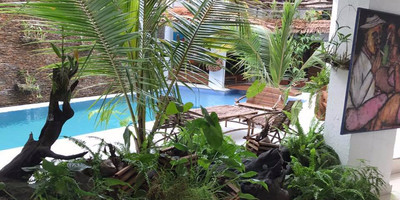 Ecologe Cote D'Ivoire - Photo 2
