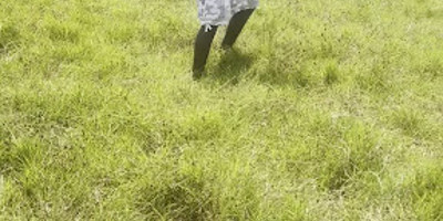 Elsamere Conservation Centre - Photo 4