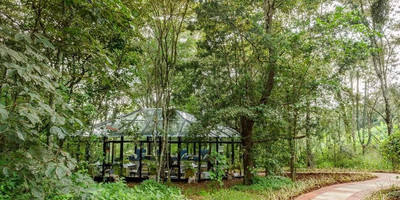 Entim Sidai Wellness Sanctuary - Photo 4