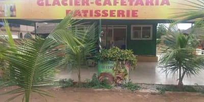 Espace vert du bonheur - Photo 1
