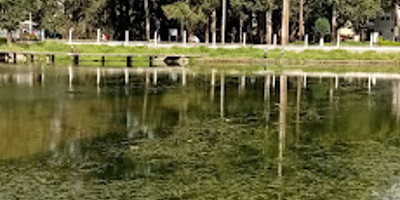 Estufa - Photo 3