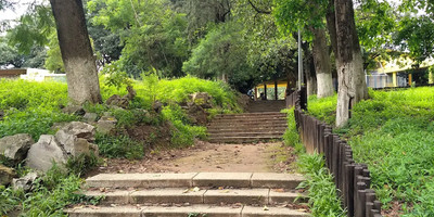 Estufa - Photo 1