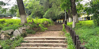 Estufa - Photo 2