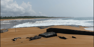Côte sud-ouest de la côte d'ivoire - Photo 2