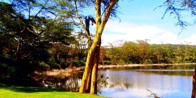 Fish Eagle Inn - Photo 1