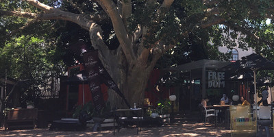 Freedom Cafe - Photo 4
