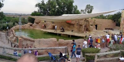 Friguia parc - Photo 6