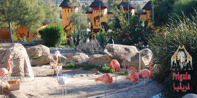 Friguia parc - Photo 3
