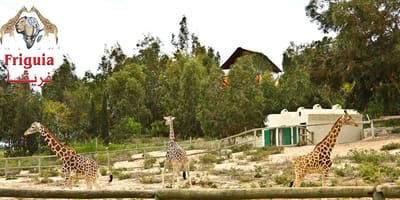 Friguia parc - Photo 4