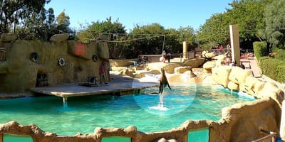 Friguia parc - Photo 8