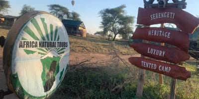 From arusha in tanzania: discover 3-day group budget safari (serengeti & ngorongoro) - Photo 5