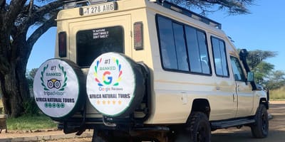 From arusha in tanzania: discover 3-day group budget safari (serengeti & ngorongoro) - Photo 1