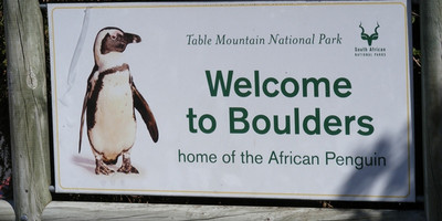 Full day Cape Point & peninsula trike tour. - Photo 10