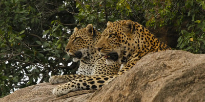 Full-day trip to tarangire national park - Photo 4