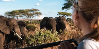 Full-day trip to tarangire national park - Photo 1