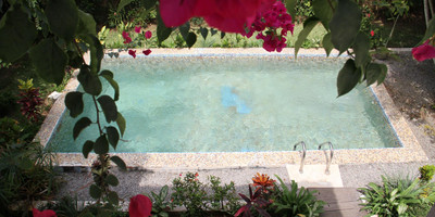 Gaia'S Garden Bed And Breakfast - Photo 7