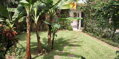 Gaia'S Garden Bed And Breakfast - Photo 8