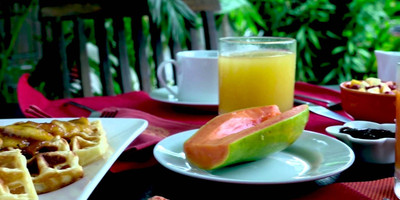 Gaia'S Garden Bed And Breakfast - Photo 4