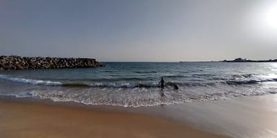 Garden DONA BEACH - Photo 2