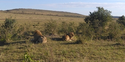 Go exotic places adventure tours with best prices. - Photo 7