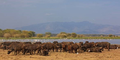 Go exotic places adventure tours with best prices. - Photo 10