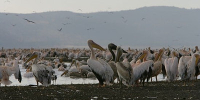 Go exotic places adventure tours with best prices. - Photo 1