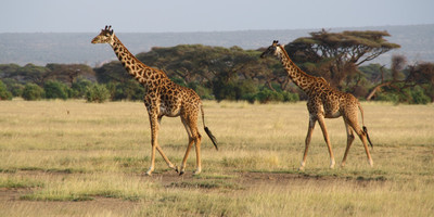 Go exotic places adventure tours with best prices. - Photo 5