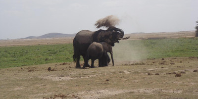 Go exotic places adventure tours with best prices. - Photo 3