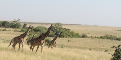 Go exotic places adventure tours with best prices. - Photo 9