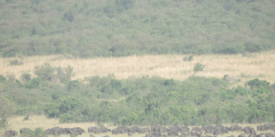 Go exotic places adventure tours with best prices. - Photo 8