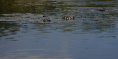 Go exotic places adventure tours with best prices. - Photo 4