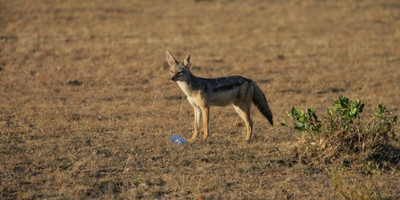 Go exotic places adventure tours with best prices. - Photo 2