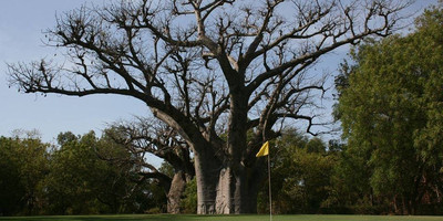 Golf De Saly - Photo 1