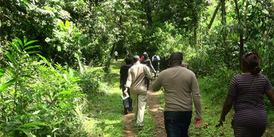 3 days gorilla trekking safari tour in uganda - Photo 6