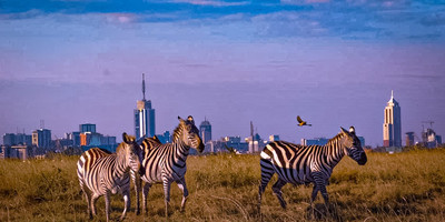 Half day nairobi national park - Photo 7