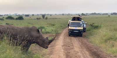 Half day nairobi national park - Photo 4