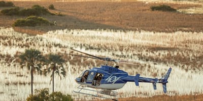 Helicopter Horizons - Photo 1