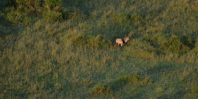 Epic hot air balloon safari adventure in masai mara kenya package - Photo 6