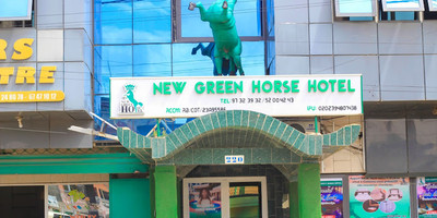 Hotel Green Horse - Photo 4