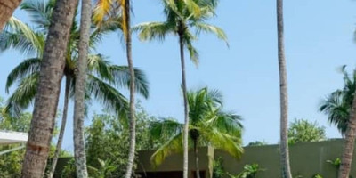 Hôtel key 19 - Photo 4