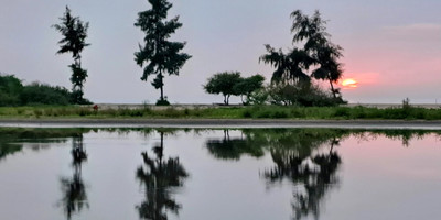 Hôtel king baobab lodge - Photo 9