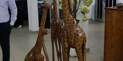 Hotel le Bonheur - Photo 1