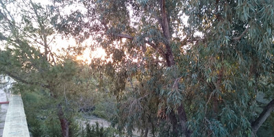 Hotel Leklil - Photo 4