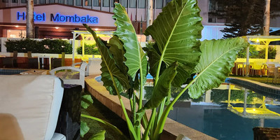 Hotel Mombaka - Photo 1