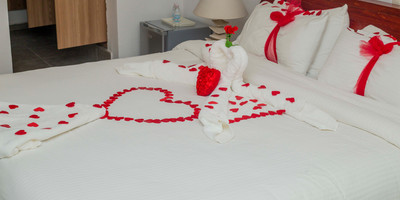 Hotel Residence Le Vaisseau - Photo 3