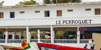 Le Perroquet - Photo 1