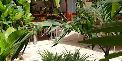 Hôtel Saint-Louis Sun - Photo 1
