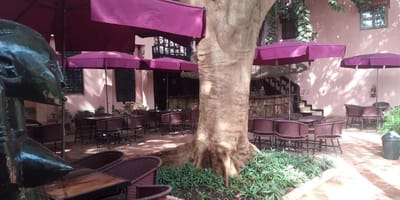 Hotel Tamana - Photo 7