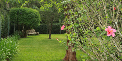 House Of Waine - Photo 4