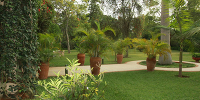 House Of Waine - Photo 5
